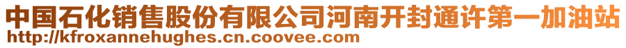 中國石化銷售股份有限公司河南開封通許第一加油站