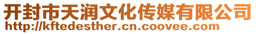 開封市天潤(rùn)文化傳媒有限公司