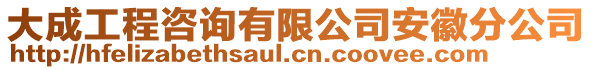 大成工程咨詢有限公司安徽分公司