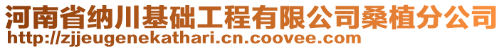 河南省納川基礎工程有限公司桑植分公司