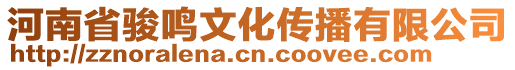 河南省駿鳴文化傳播有限公司