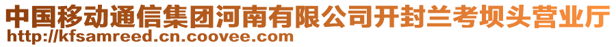 中國移動通信集團河南有限公司開封蘭考壩頭營業(yè)廳