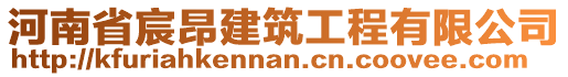 河南省宸昂建筑工程有限公司