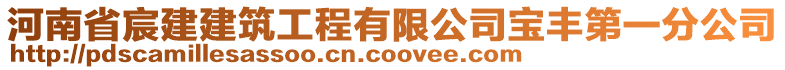 河南省宸建建筑工程有限公司寶豐第一分公司