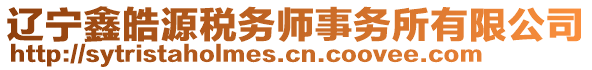 遼寧鑫皓源稅務師事務所有限公司