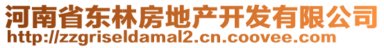 河南省東林房地產(chǎn)開發(fā)有限公司