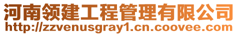 河南領(lǐng)建工程管理有限公司