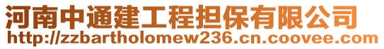 河南中通建工程擔(dān)保有限公司