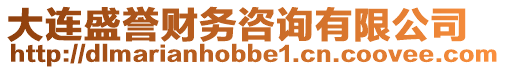 大連盛譽(yù)財(cái)務(wù)咨詢(xún)有限公司