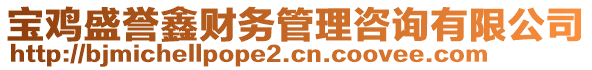 寶雞盛譽鑫財務管理咨詢有限公司