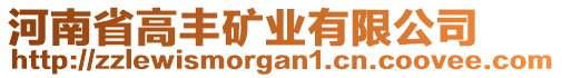 河南省高豐礦業(yè)有限公司