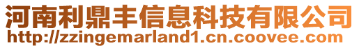 河南利鼎丰信息科技有限公司