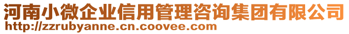 河南小微企業(yè)信用管理咨詢(xún)集團(tuán)有限公司