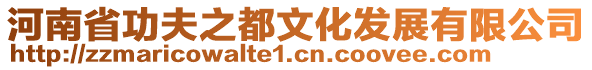 河南省功夫之都文化發展有限公司