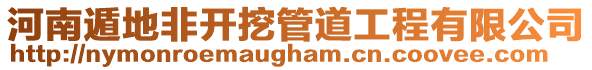 河南遁地非開挖管道工程有限公司