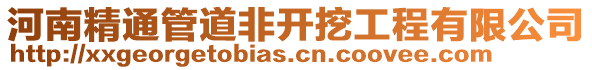 河南精通管道非開挖工程有限公司