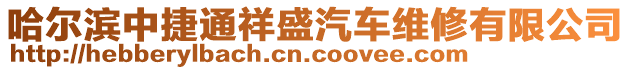 哈爾濱中捷通祥盛汽車維修有限公司