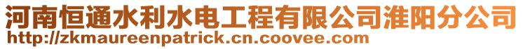 河南恒通水利水電工程有限公司淮陽分公司