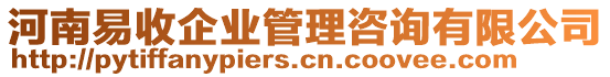 河南易收企業(yè)管理咨詢有限公司