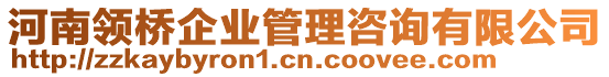 河南領(lǐng)橋企業(yè)管理咨詢有限公司