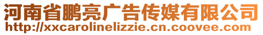 河南省鵬亮廣告?zhèn)髅接邢薰? style=