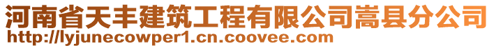 河南省天豐建筑工程有限公司嵩縣分公司