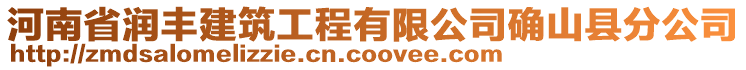 河南省潤豐建筑工程有限公司確山縣分公司
