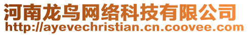河南龍鳥網(wǎng)絡(luò)科技有限公司
