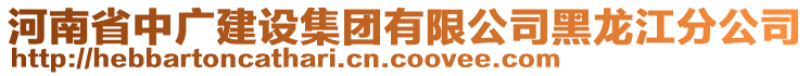 河南省中廣建設集團有限公司黑龍江分公司