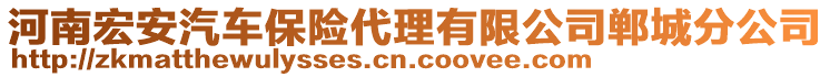 河南宏安汽車保險(xiǎn)代理有限公司鄲城分公司