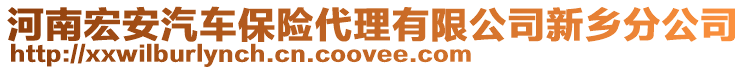 河南宏安汽車保險(xiǎn)代理有限公司新鄉(xiāng)分公司