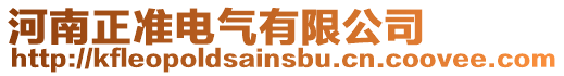 河南正準電氣有限公司
