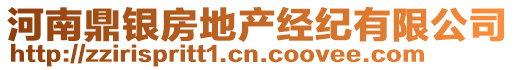 河南鼎銀房地產(chǎn)經(jīng)紀(jì)有限公司