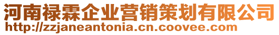 河南祿霖企業(yè)營銷策劃有限公司