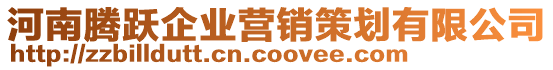 河南騰躍企業(yè)營(yíng)銷策劃有限公司