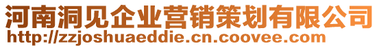 河南洞見企業(yè)營銷策劃有限公司