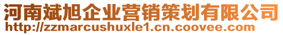 河南斌旭企業(yè)營銷策劃有限公司