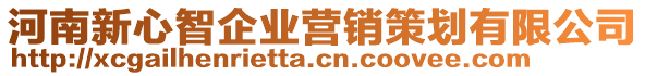 河南新心智企業(yè)營銷策劃有限公司