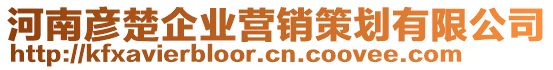 河南彥楚企業(yè)營(yíng)銷策劃有限公司