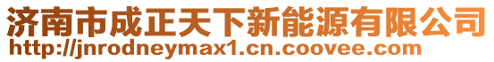 濟(jì)南市成正天下新能源有限公司