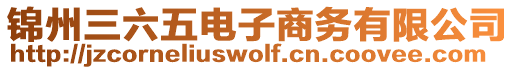 錦州三六五電子商務(wù)有限公司