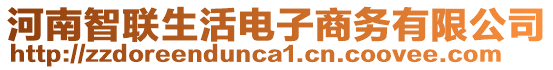 河南智聯(lián)生活電子商務(wù)有限公司