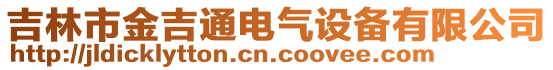 吉林市金吉通電氣設(shè)備有限公司