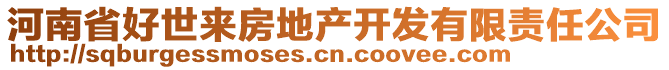 河南省好世來房地產(chǎn)開發(fā)有限責(zé)任公司