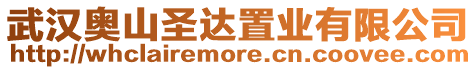 武漢奧山圣達置業(yè)有限公司