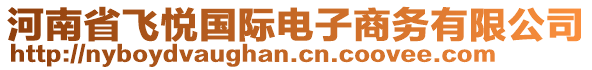 河南省飛悅國際電子商務有限公司