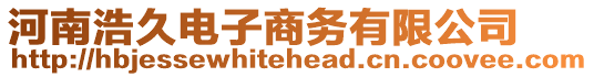 河南浩久電子商務有限公司