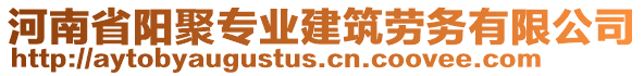 河南省陽聚專業(yè)建筑勞務有限公司