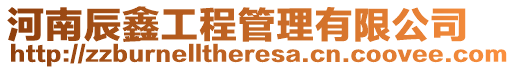 河南辰鑫工程管理有限公司