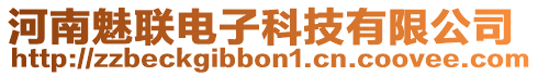 河南魅聯(lián)電子科技有限公司